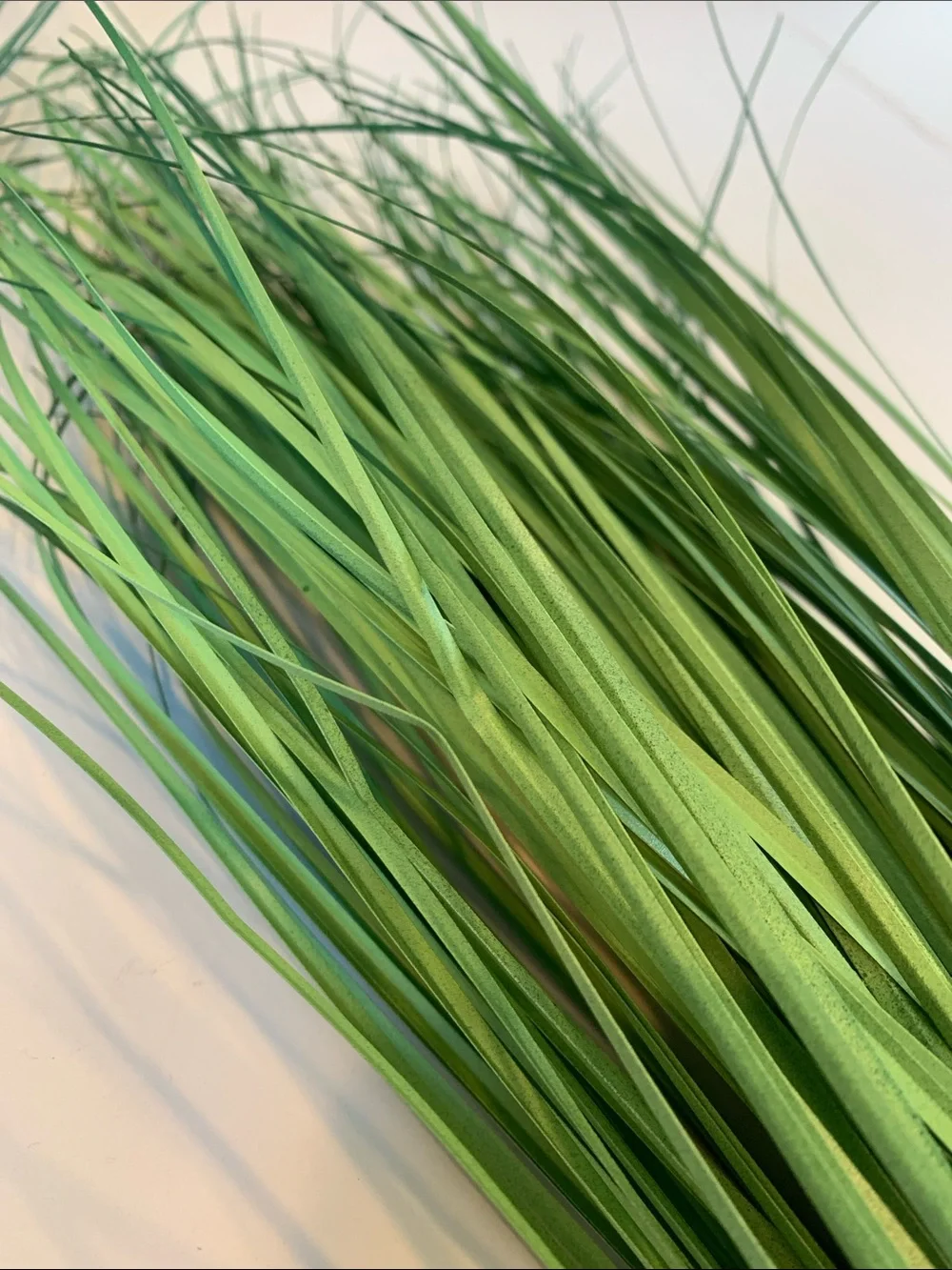 Bloom Room Artificial Decorative Botanical Grass Spray 4 Bundles in Green